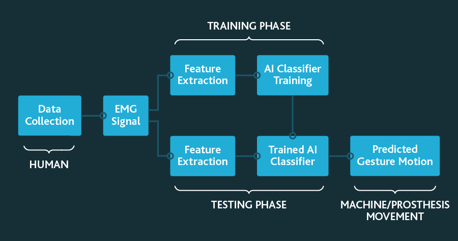 *Abstraction of the Signal Processing and AI Classifier Training Phase