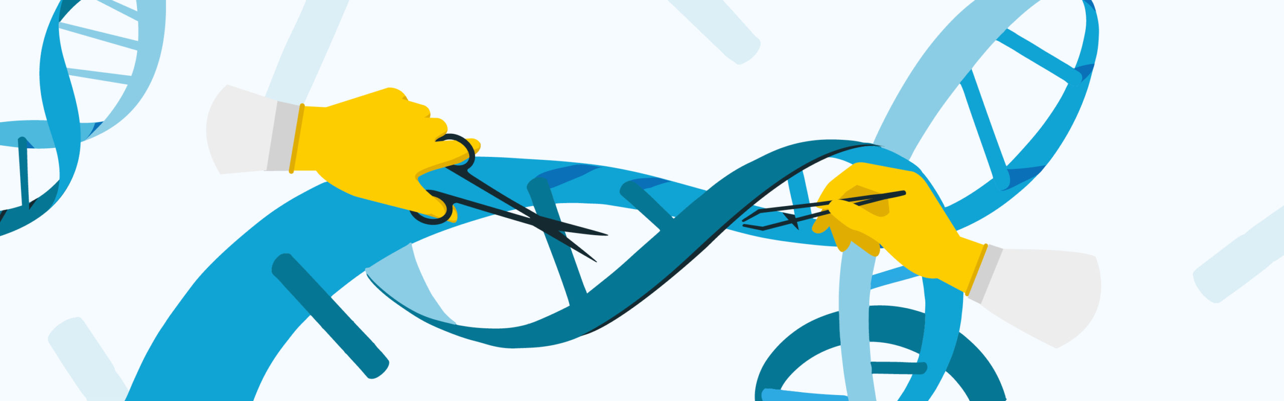 Image Description: Article banner. A cartoony image of hands cutting up a DNA spiral . End Description