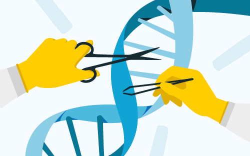 Image Description: Mobile version of the article banner. A cartoony image of hands cutting up a DNA spiral . End Description