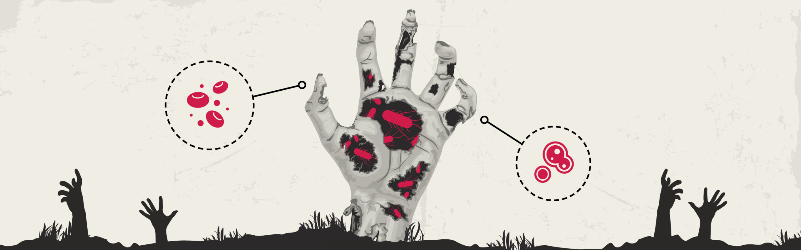 Image Description: Article banner. A comic-book style image of a zombie hand piercing through the ground. You can see catroony bacteria floating in the gaps in the skin. There are two circles that are suppose to magnify what's in the hand. Inside those circles are a cartoony image of a replicating cell and blood cells. End Description