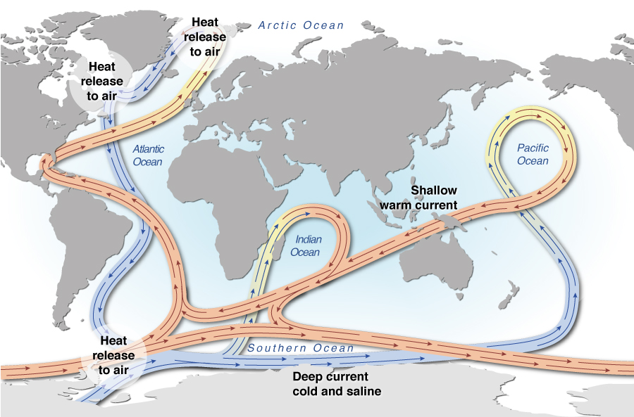 A map showing the world ocean thermohaline circulation
