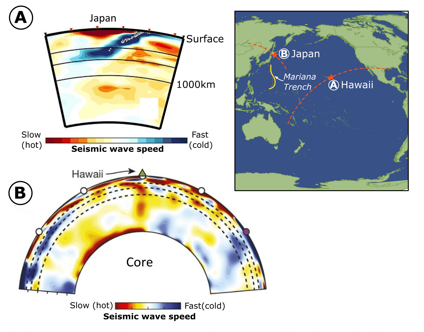 Image to show Tomographic 2D slices through the Earth
