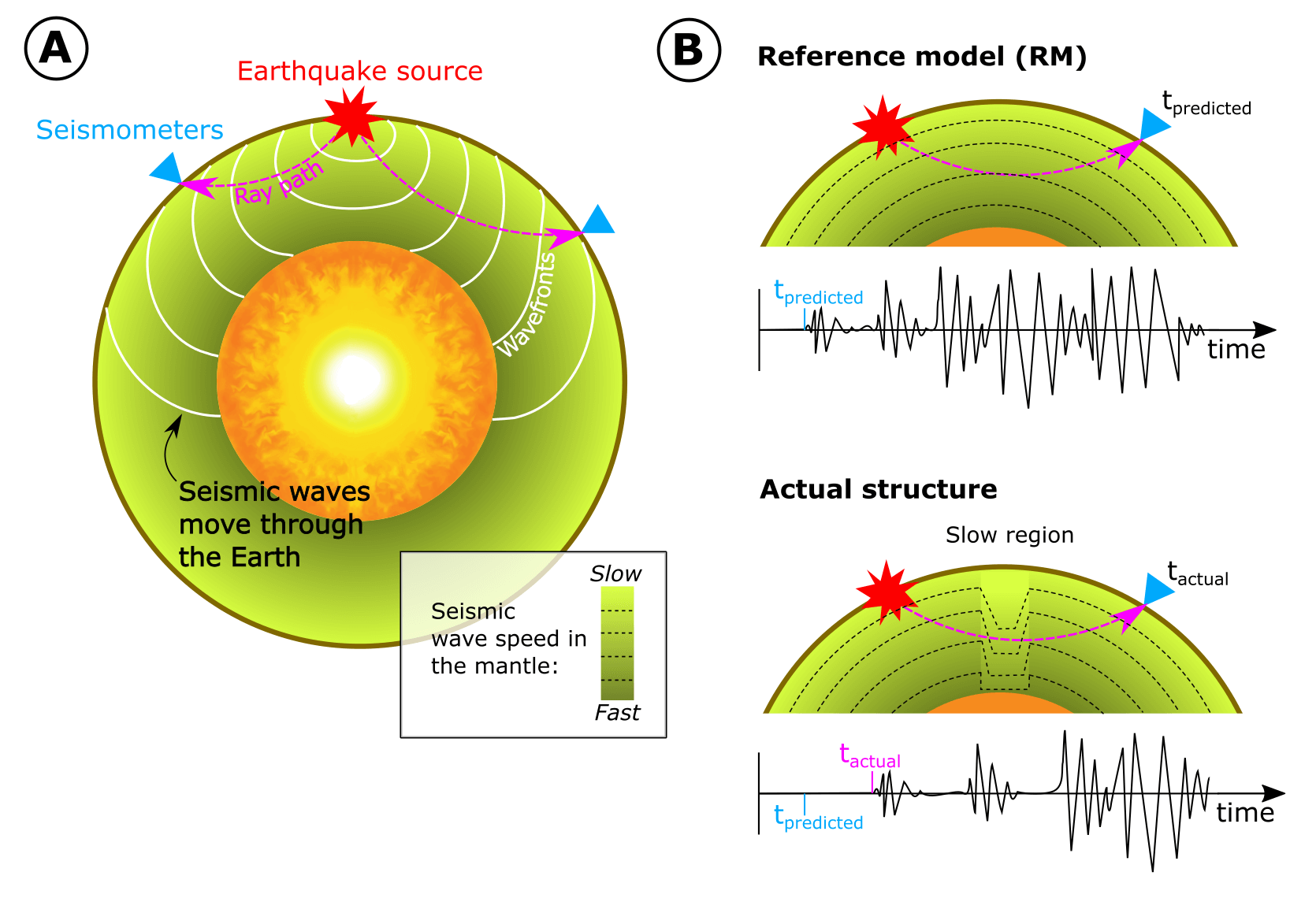 Seismic waves spreading through the Earth.